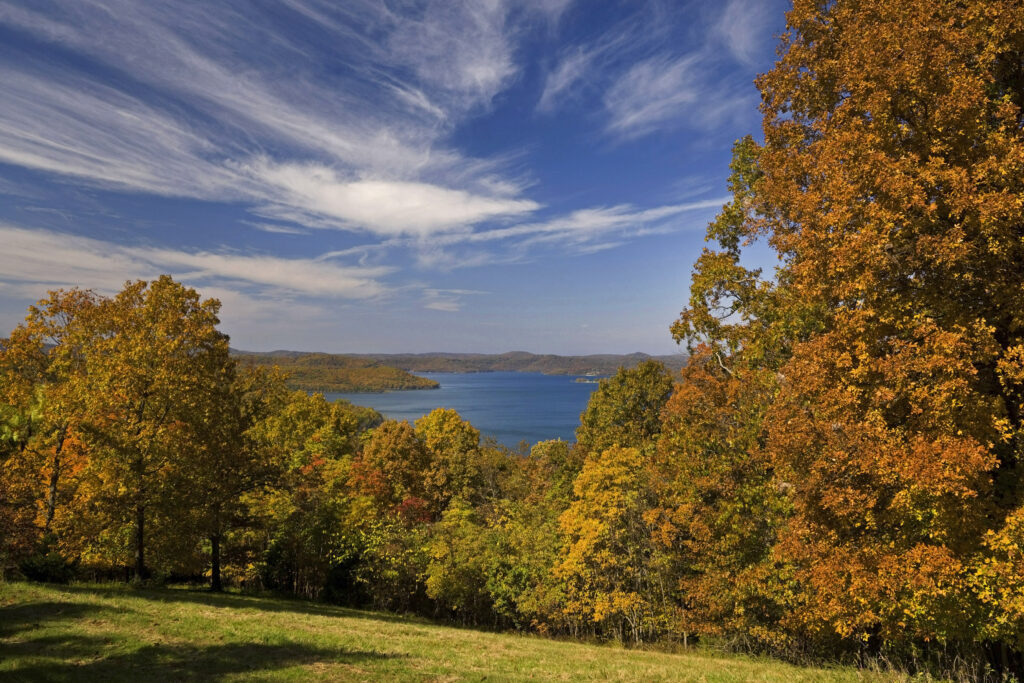 A view of a lake in the fall with trees in the background.