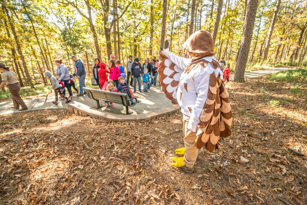 A man dressed as an owl in the woods.