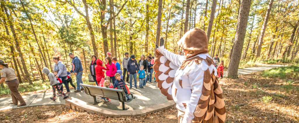 A man dressed as an owl in the woods.