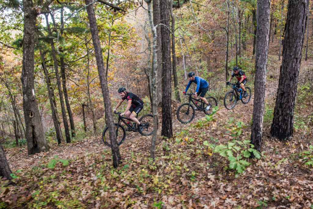Three mountain bikers riding through the woods.