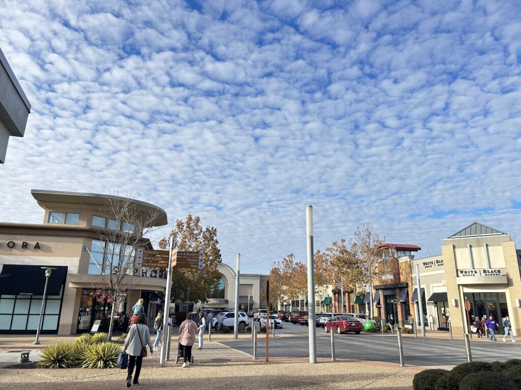 A group of people walking down a street in a shopping center.