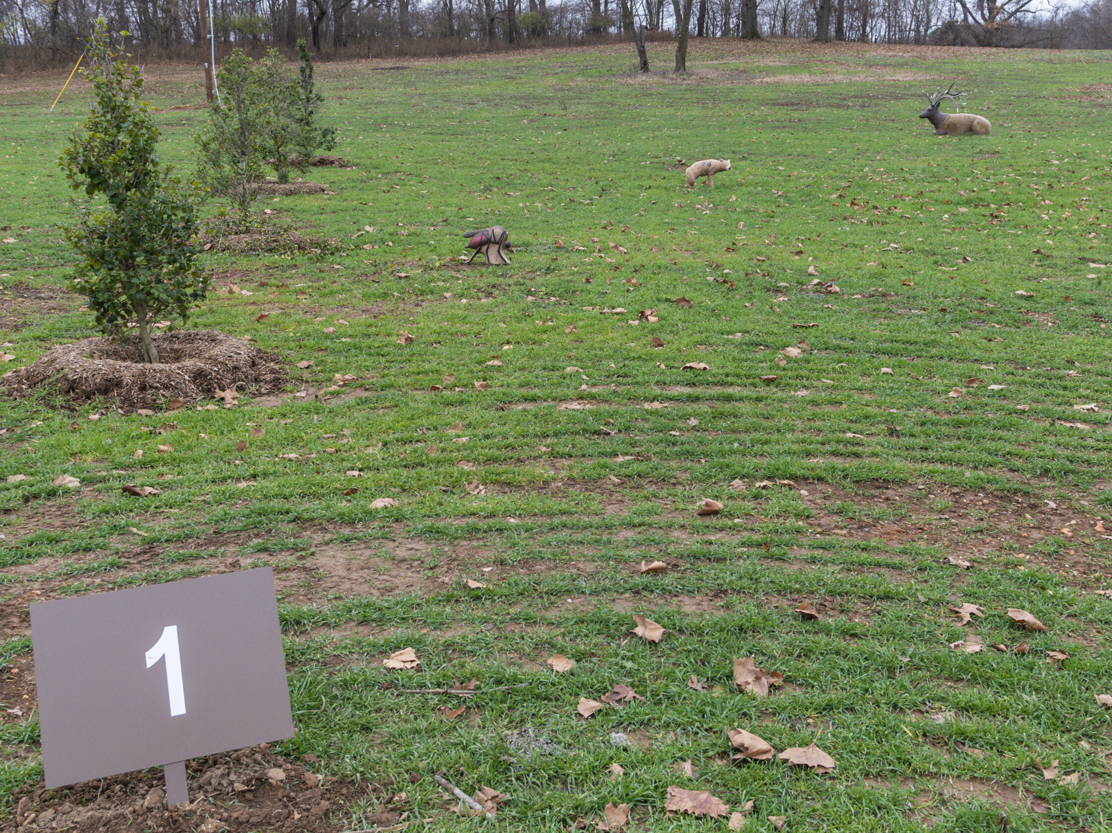 Field with small trees and a sign numbered "1" in the foreground. Three deer graze in the distance against a backdrop of leafless trees.