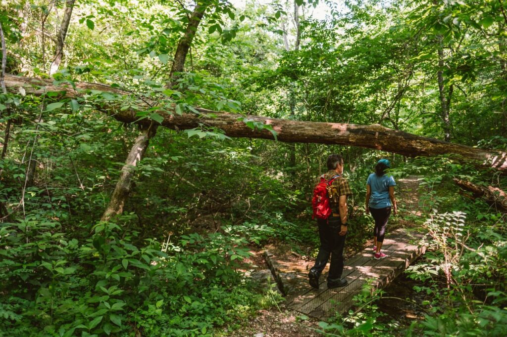 Hikers crossing a boardwalk on Hobbs State Park's Pigeon Roost Trail
