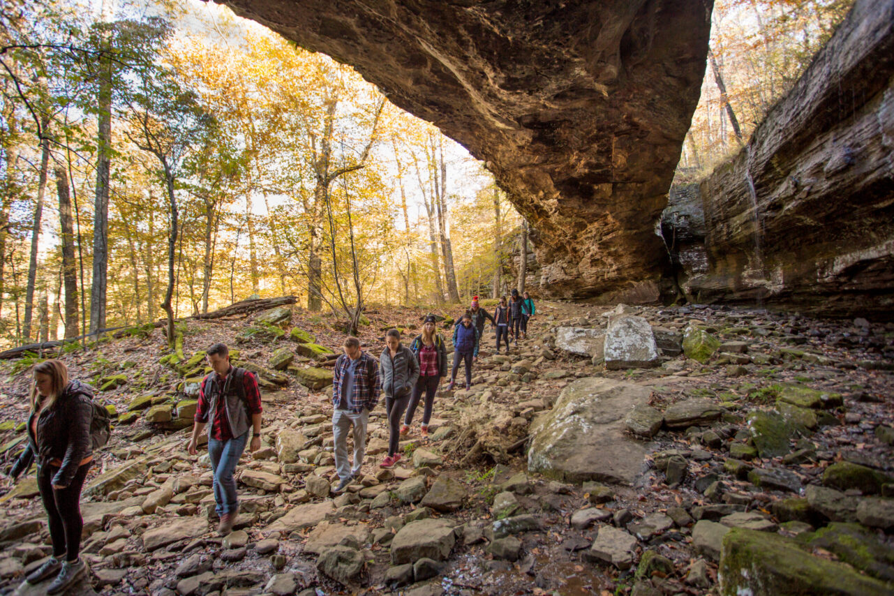 Guided Group Hike by 37 North Expeditions